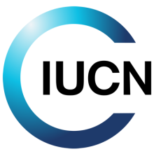 logo 1620879732